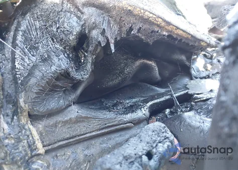 2023 Kia Sorento Lx from USA, damaged, VIN 5XYRG4LC9PG240846